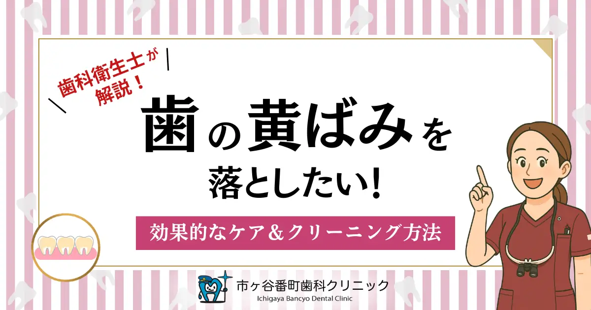 歯科衛生士が解説！歯の黄ばみを落としたい！効果的なケア＆クリーニング方法