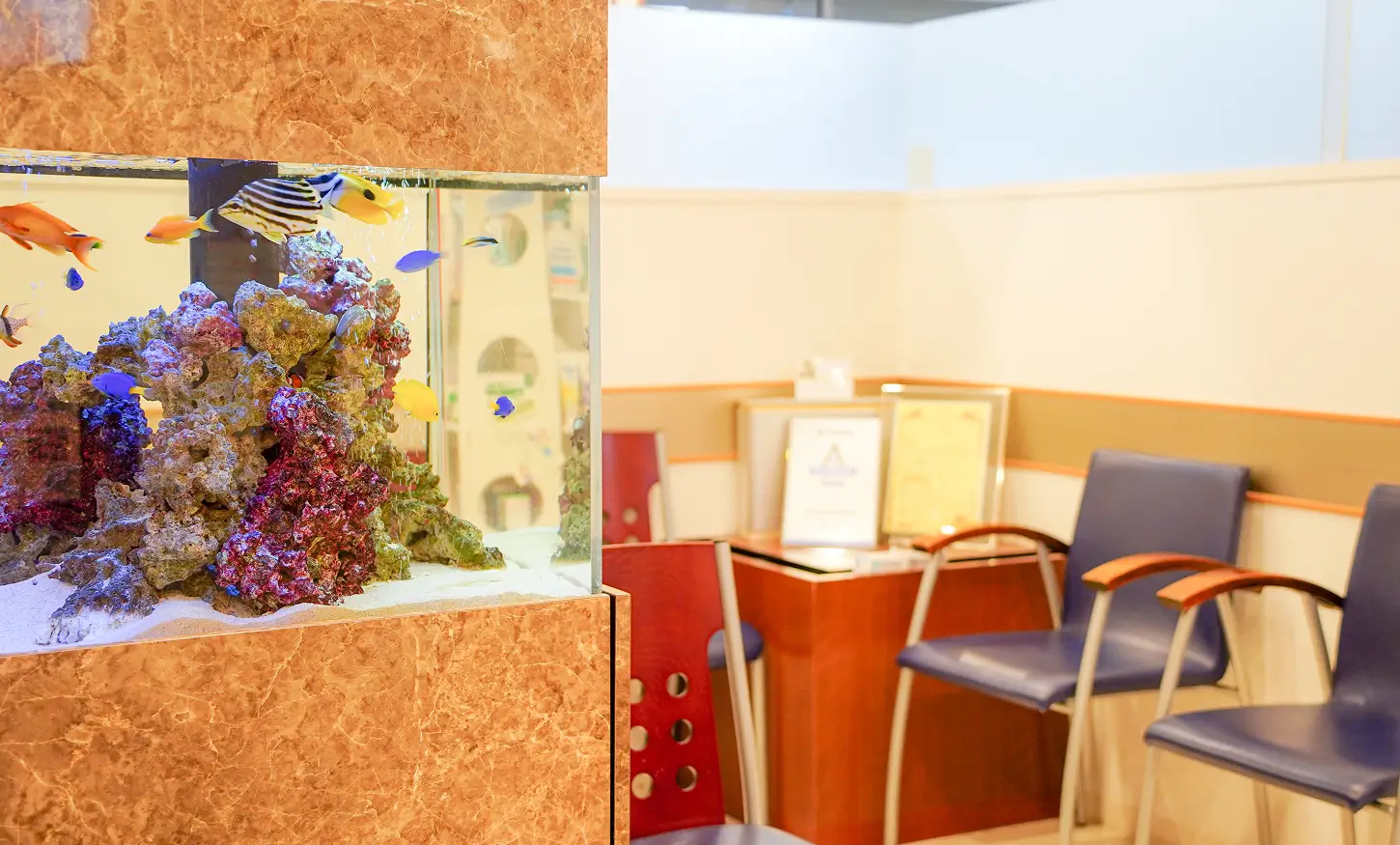 市ヶ谷番町歯科クリニック