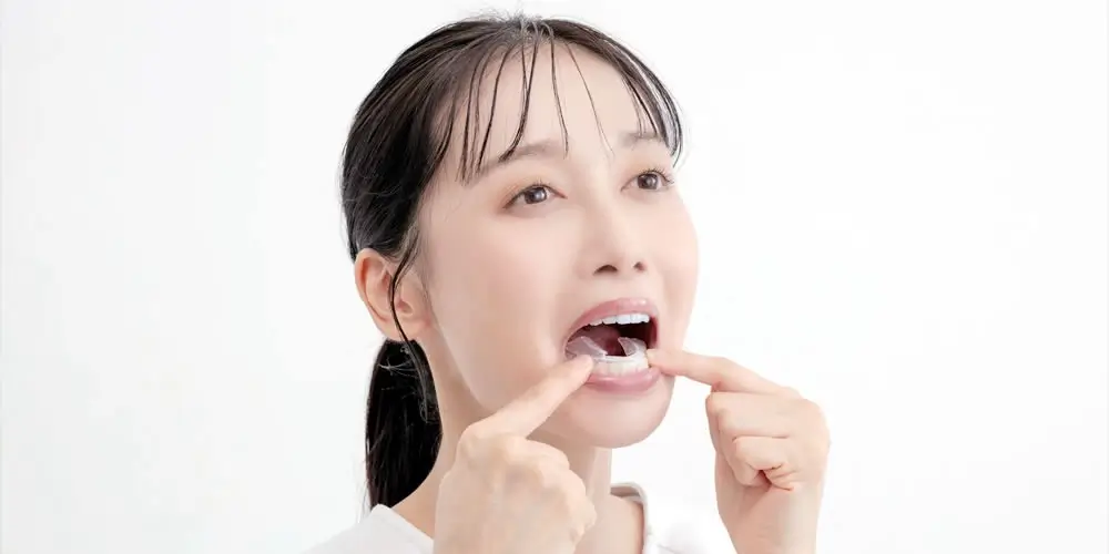 ディノベート写真２